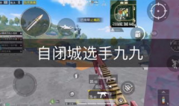 91九和平精英直播回放,激情对决，热血沸腾